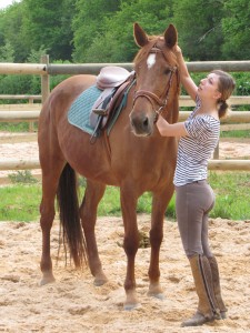 Haras de Mignaloux