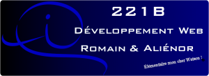 221B développement web