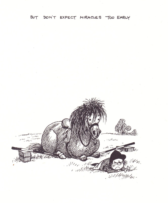 Pony Thelwell humour cavalier cheval