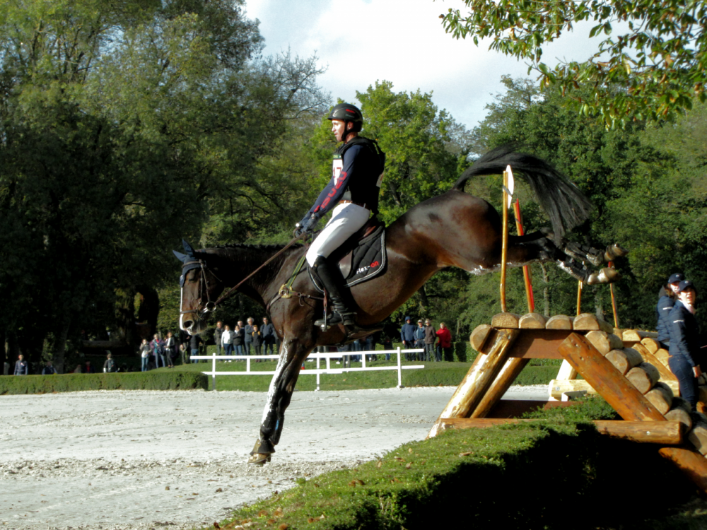 Mondial du lion Angers 2017, Le cheval cet athlète